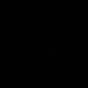 Meet your Posher, Mason